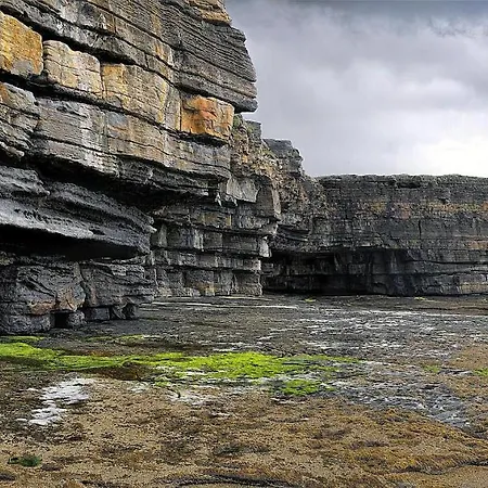 Teach Condy's * Teelin