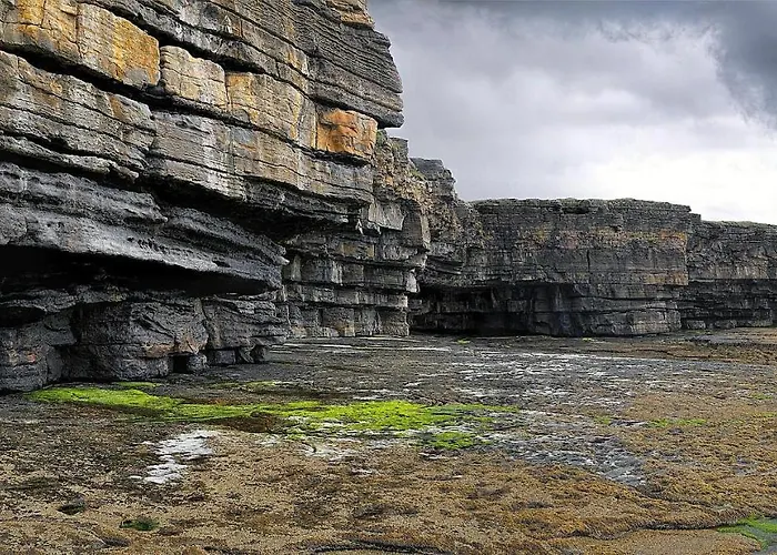 Teach Condy's * Teelin